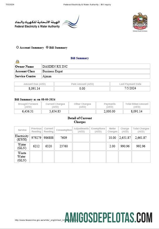 Emirados Árabes Unidos Dubai Autoridade Federal de Eletricidade e Água Eletricidade, Conta de Serviços Públicos de Água Formatos Word e PDF amostra
